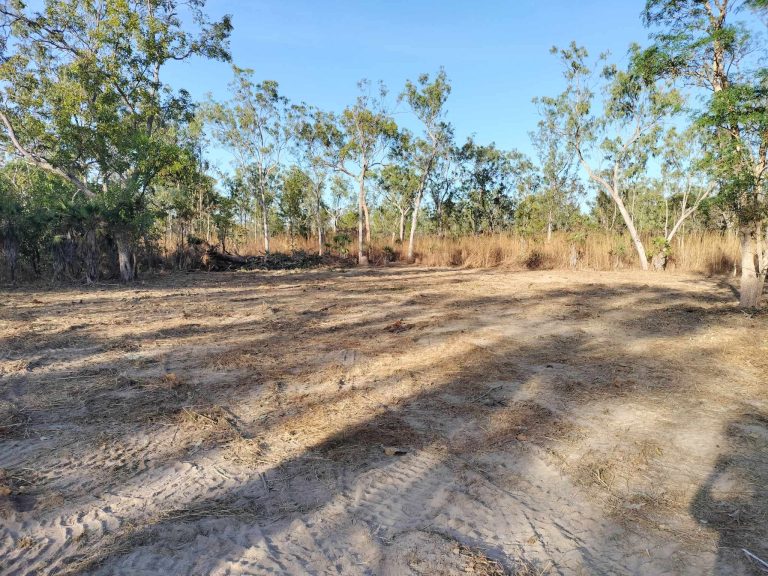 LAND CLEARING