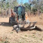 A bobcat clearing a fire break.