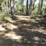 Cleared-Bush-Fire-Track