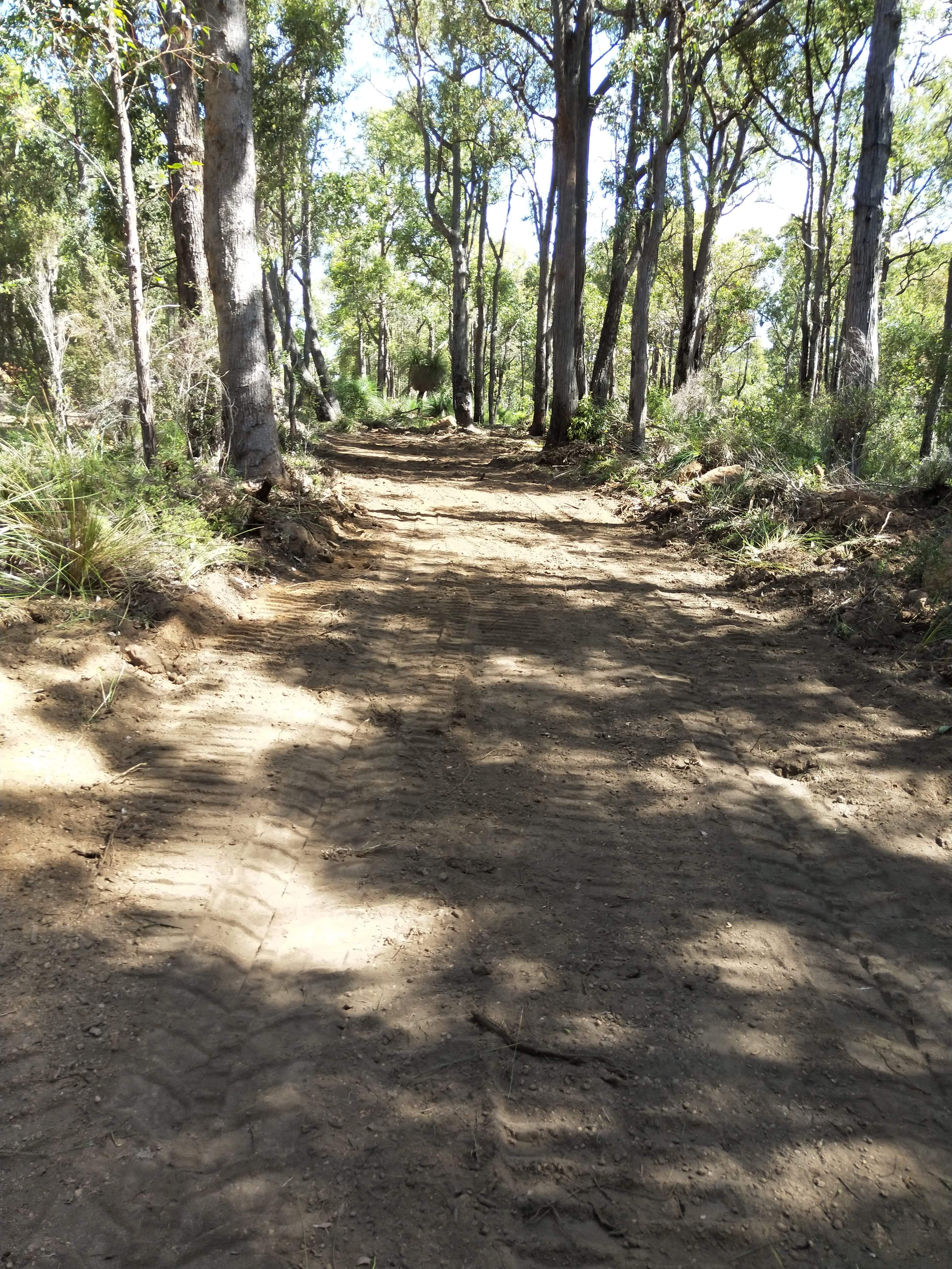 Cleared-Bush-Fire-Track