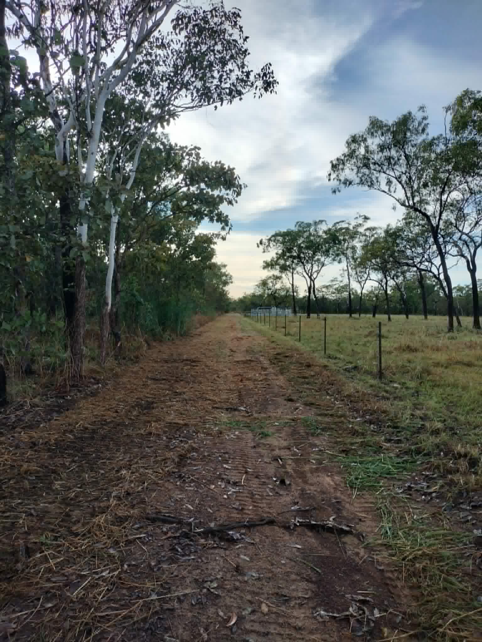 Block clearing Darwin, bobcat clearing vegetation from a rural property
