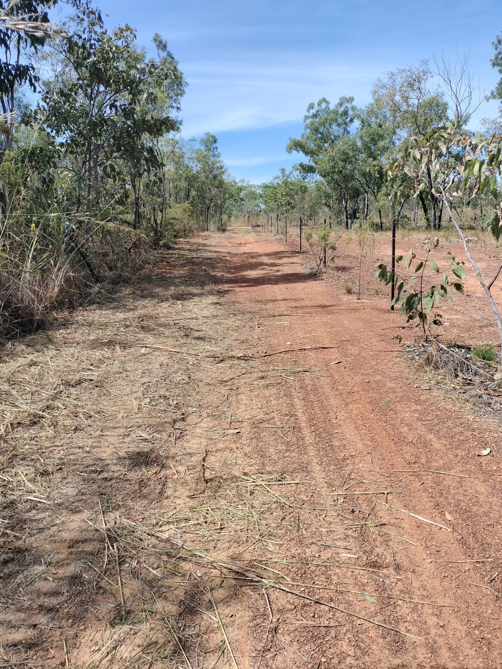 Land clearing Darwin, Dobson Excavations clearing a rural block